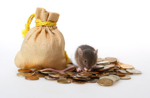 Little mouse sitting on a heap of coins