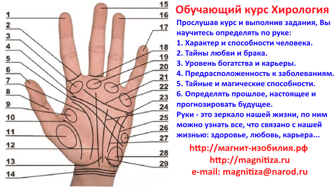 Узнать будущее по дате. Хирология. Как узнать свое будущее. Как узнать свой будущее. Хирология учебный курс.