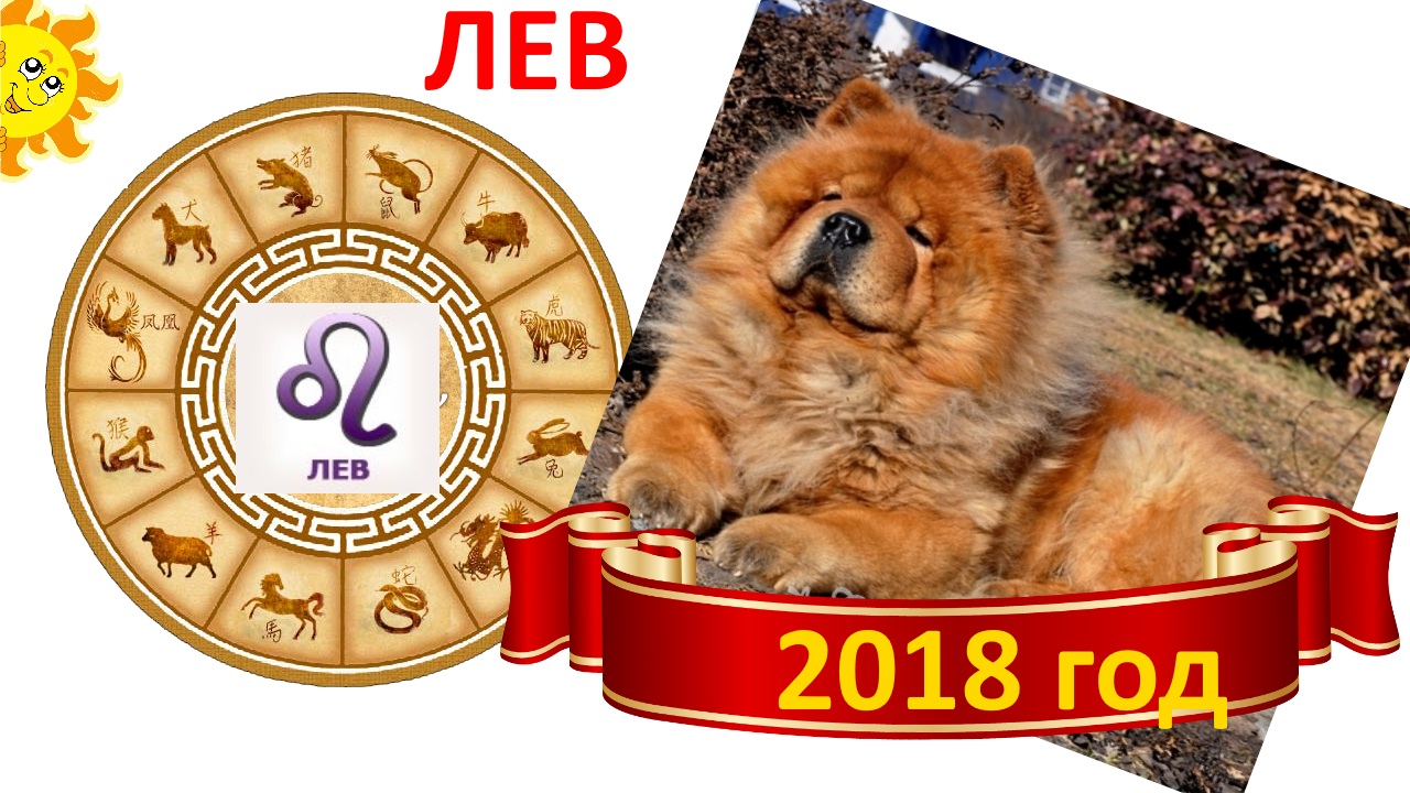 Лев 2018. Лев собака знак зодиака. 2018 Год собаки по знакам.